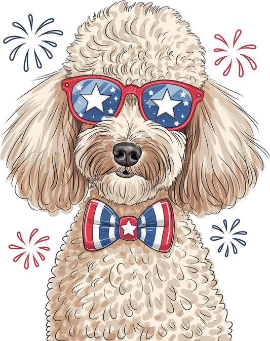 DTF Transfer - 4th of July - 45