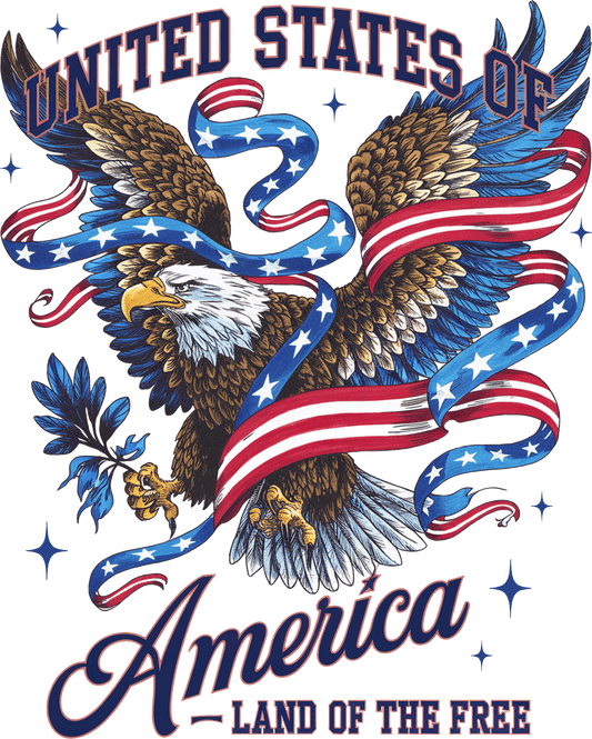 DTF Transfer - 4th of July - 60